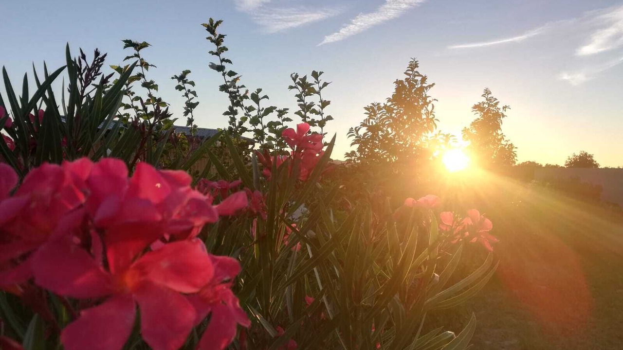 Photo of Outdoor in Chateauneuf-sur-Isere