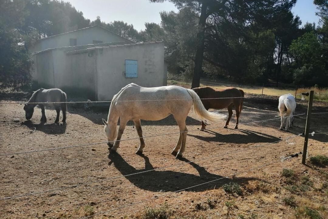 Photo of Outdoor in Lauris