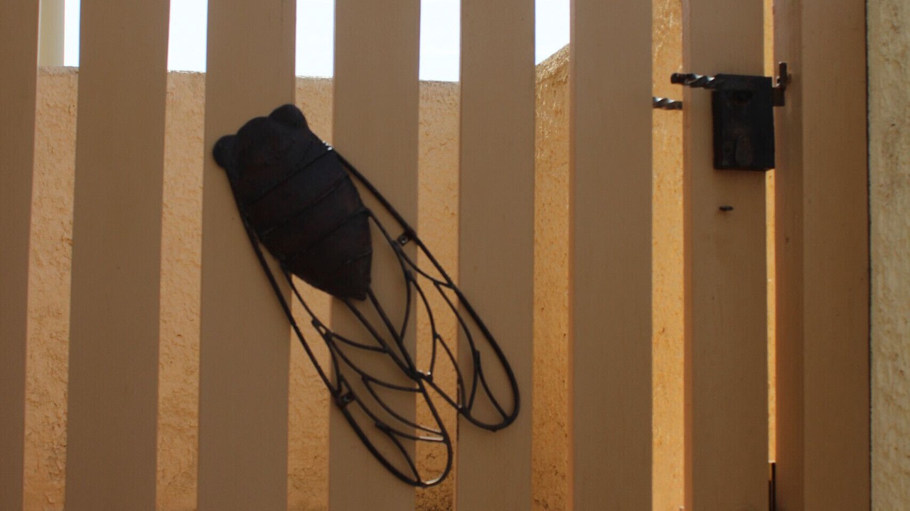 Photo of Outdoor in Mollans-sur-Ouveze