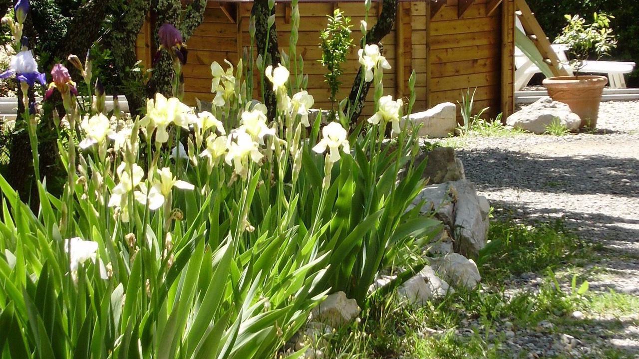 Photo of Outdoor in Labeaume