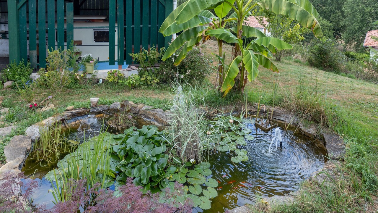 Photo of Outdoor in Bardos