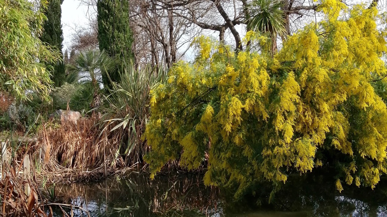 Photo of Outdoor in Palau-del-Vidre
