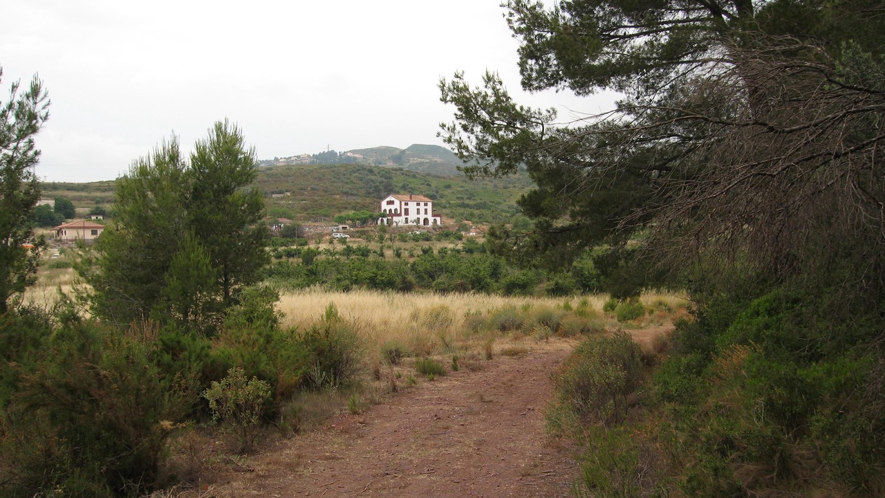 Photo of Outdoor in Alcover