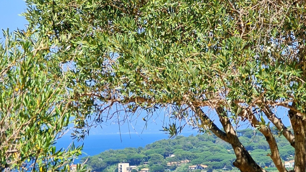 Photo of Others in Cote d'Azur- French Riviera