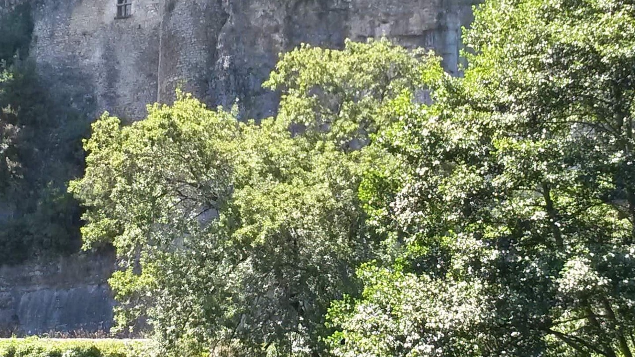 Photo of Others in Themines