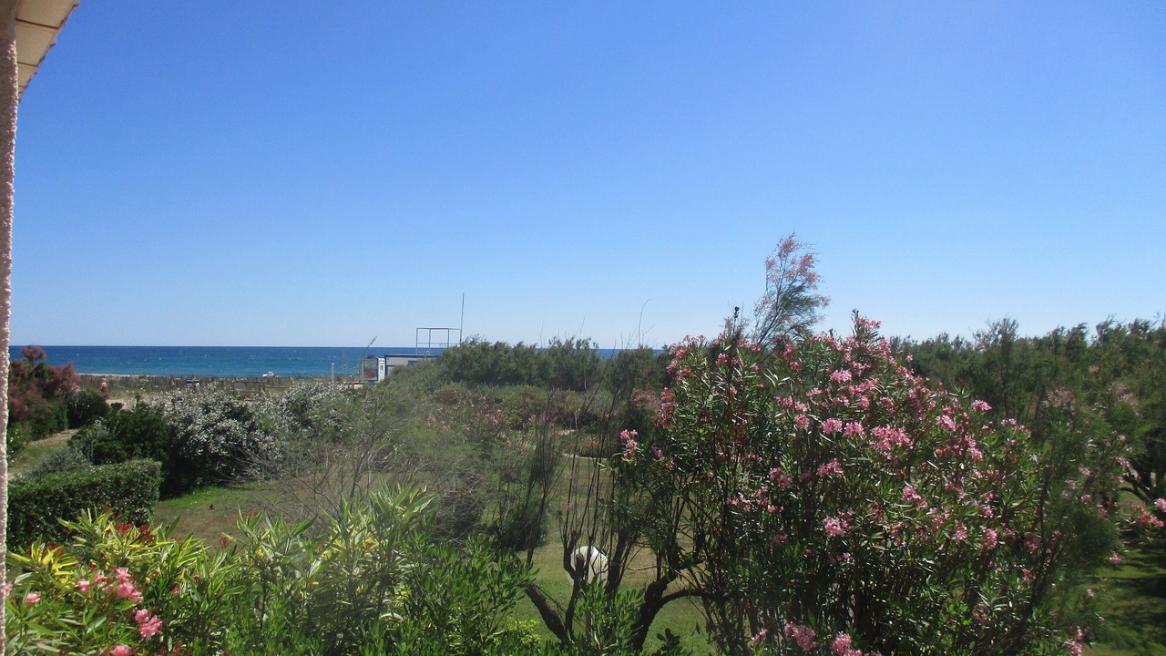 Photo of Others in Saint-Cyprien Plage