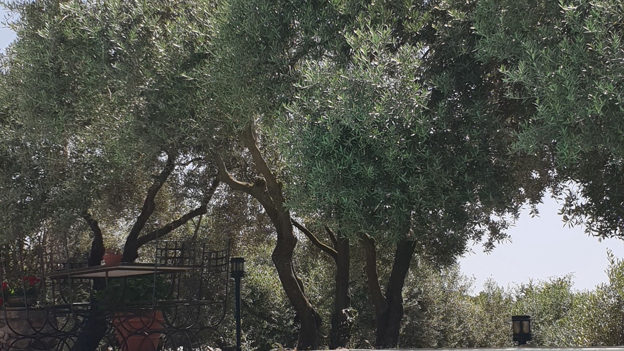 Photo of Outdoor in Viens