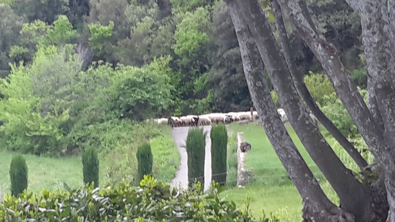 Photo of Outdoor in Viens