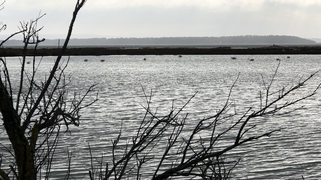 Photo of Others in Gruissan Plage