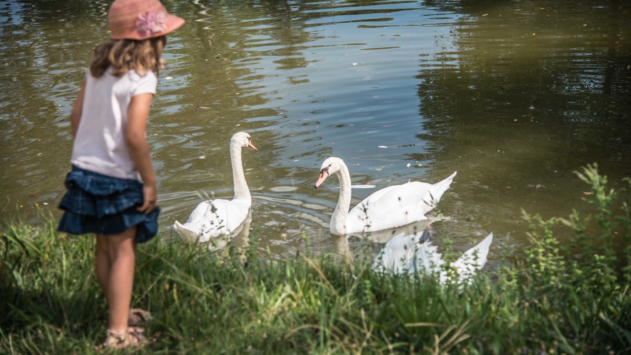 Photo of Outdoor in La Begude-de-Mazenc