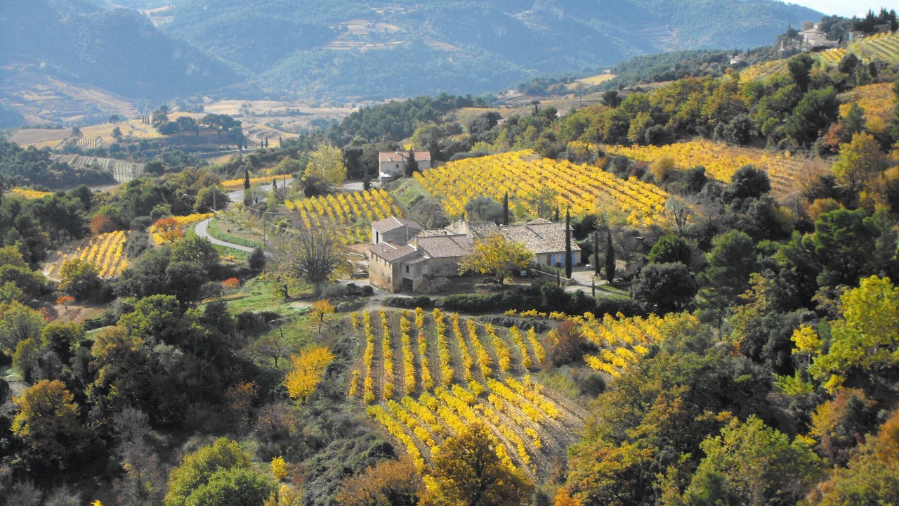Photo of Outdoor in Suzette