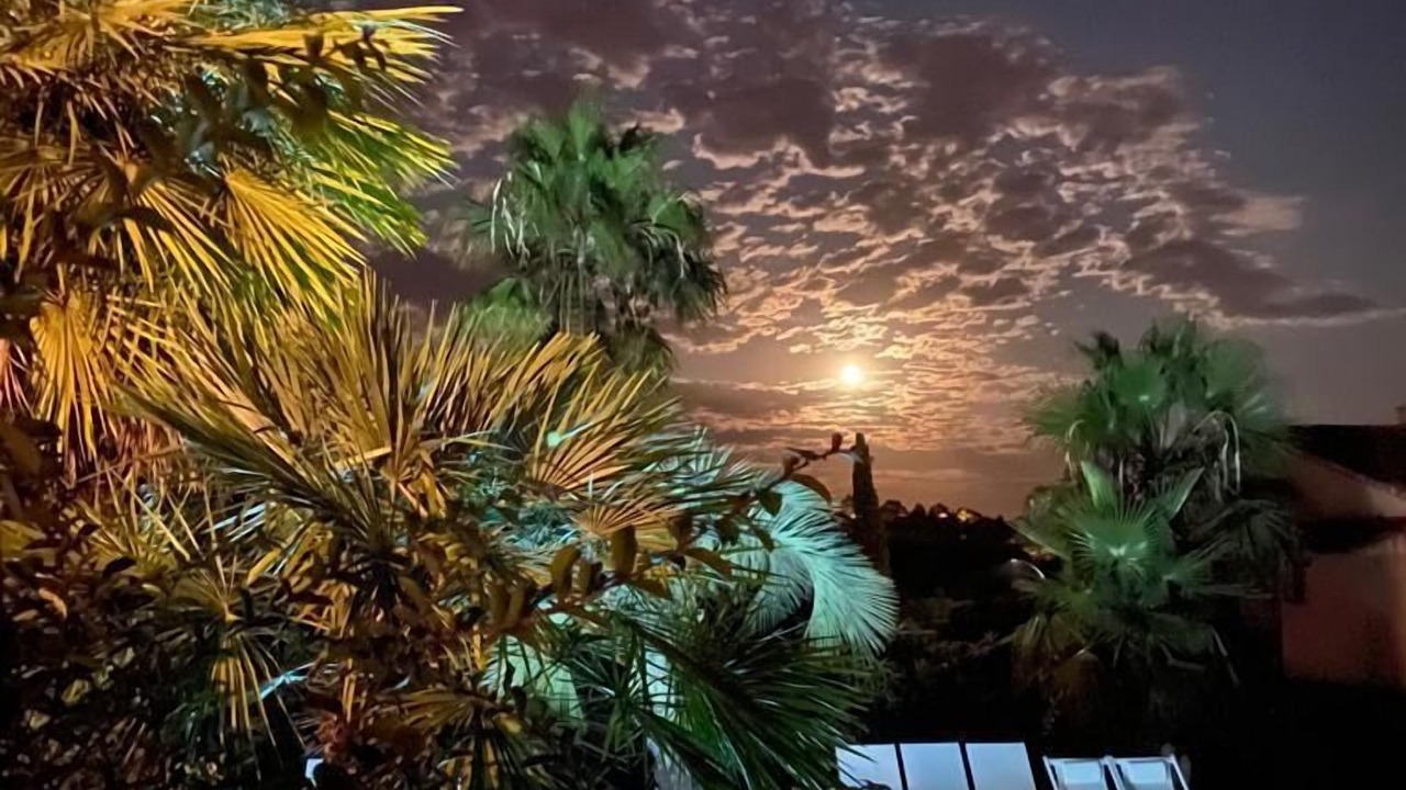 Photo of Outdoor in Les Issambres