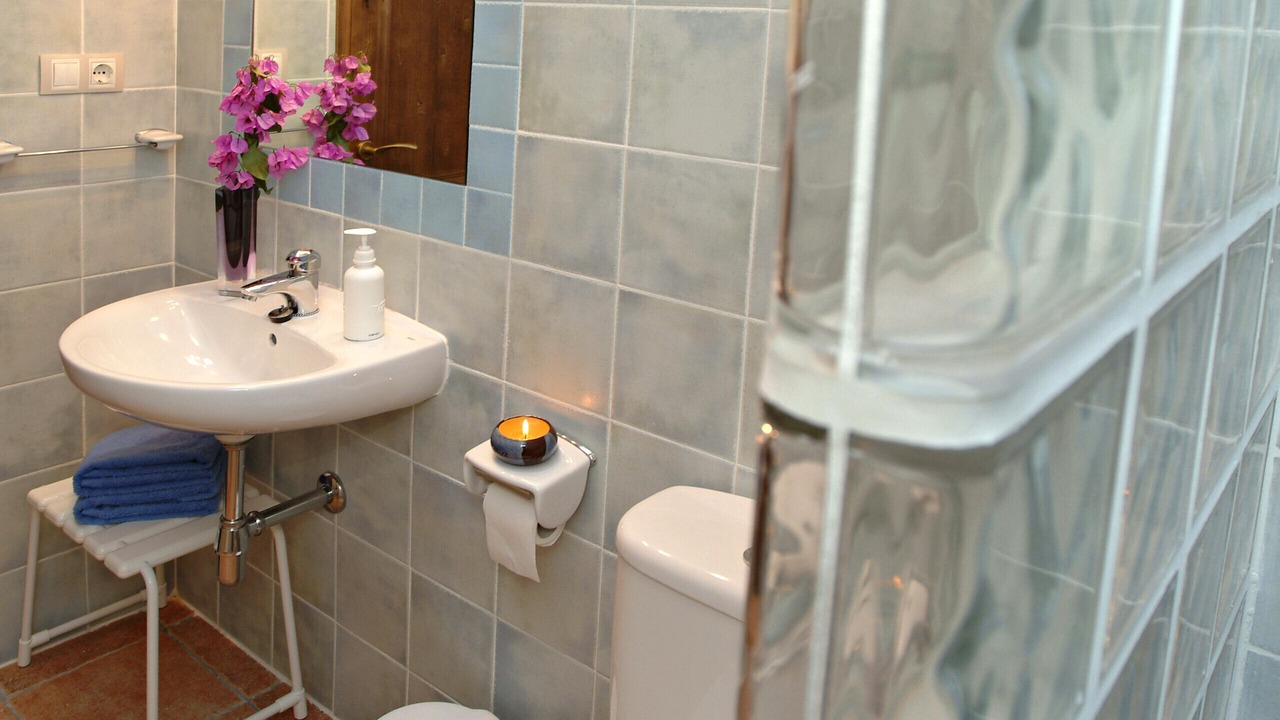 Photo of Bathroom in Avinyonet del Penedes