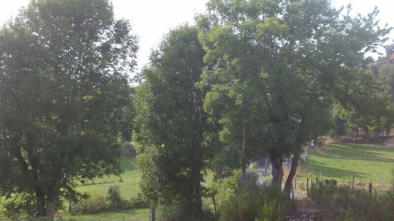 Photo of Outdoor in Saint-Alban-sur-Limagnole