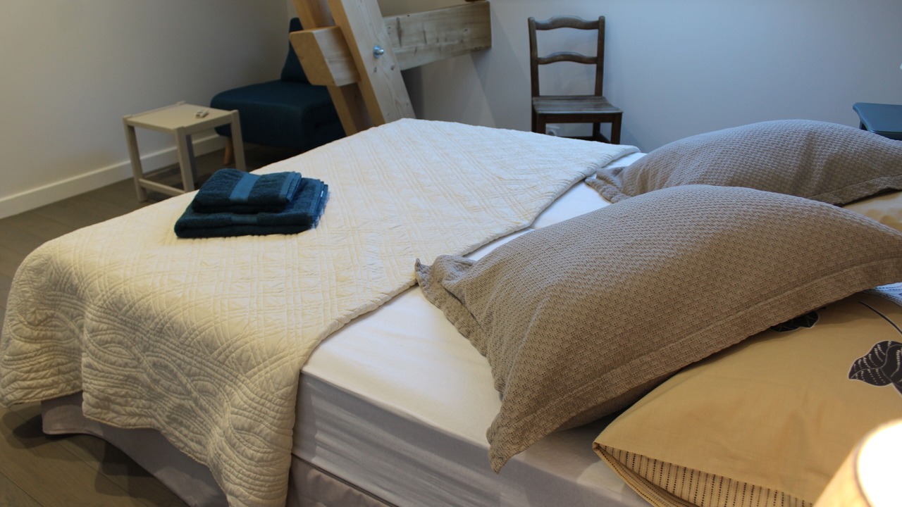 Photo of Bedroom in Chapareillan