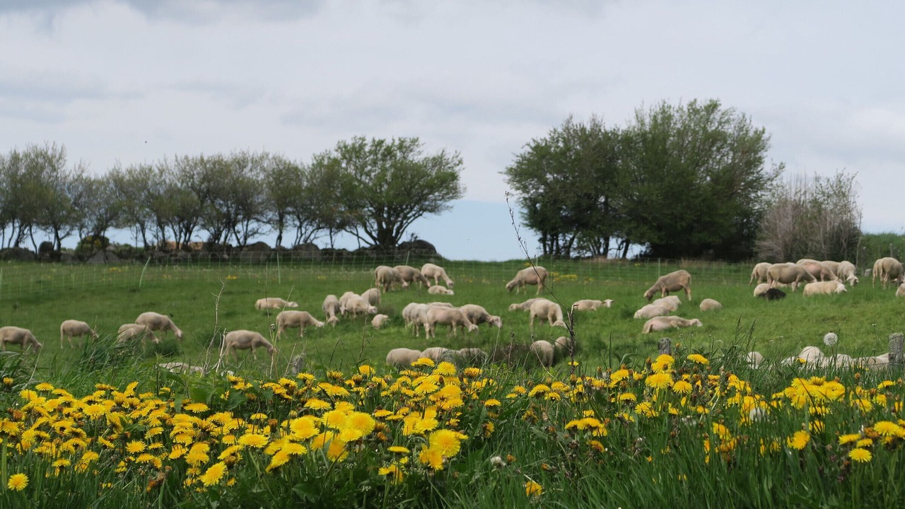 Photo of Outdoor in La Besseyre-Saint-Mary