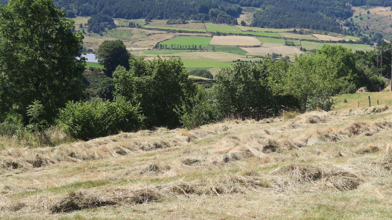Photo of Others in La Besseyre-Saint-Mary