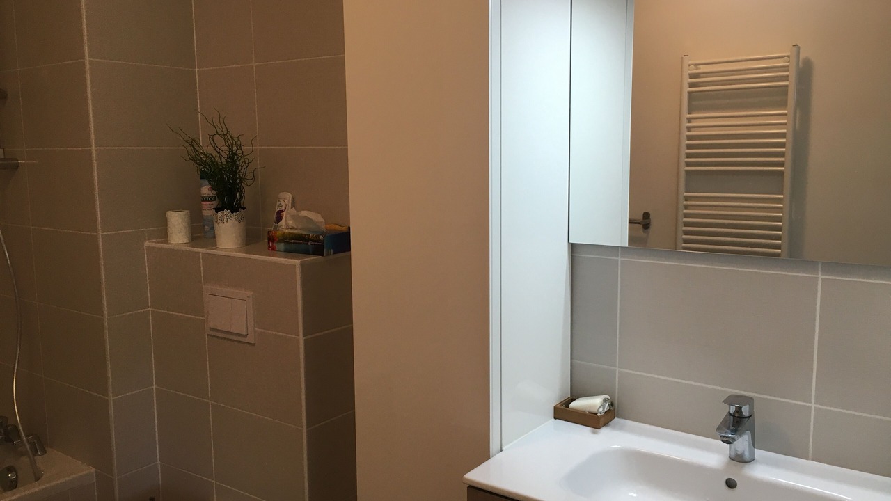 Photo of Bathroom in Saint-Jorioz