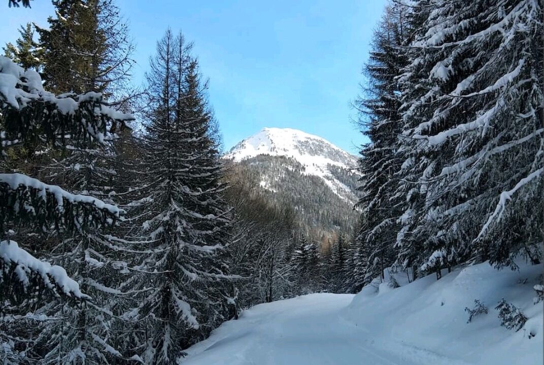 Photo of Others in La Roche