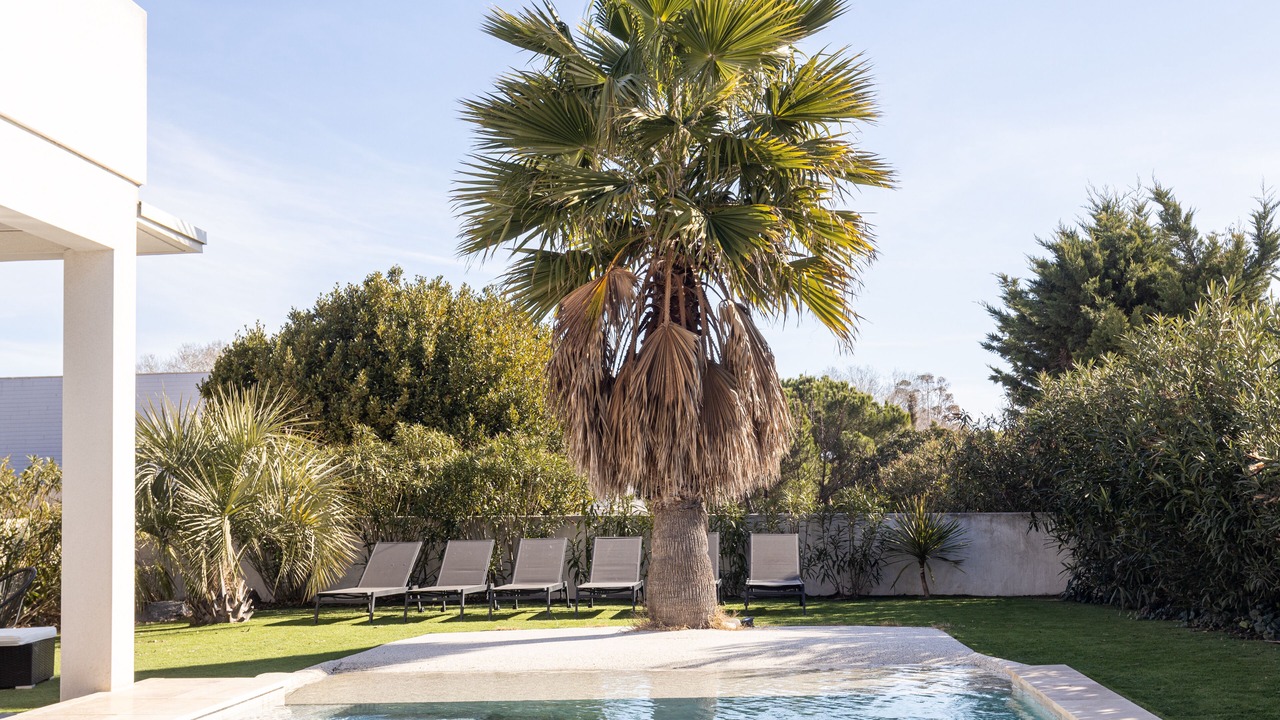 Photo of Outdoor in Le Grau-dʼAgde