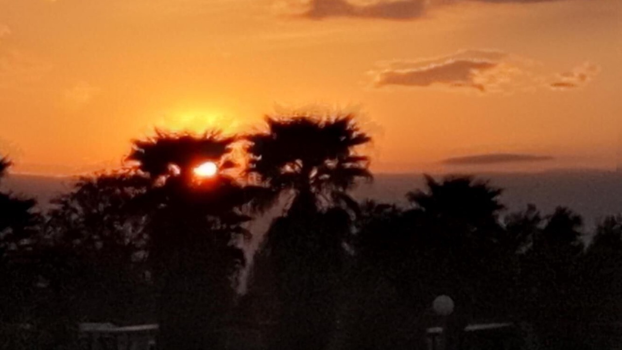Photo of Outdoor in Torreilles