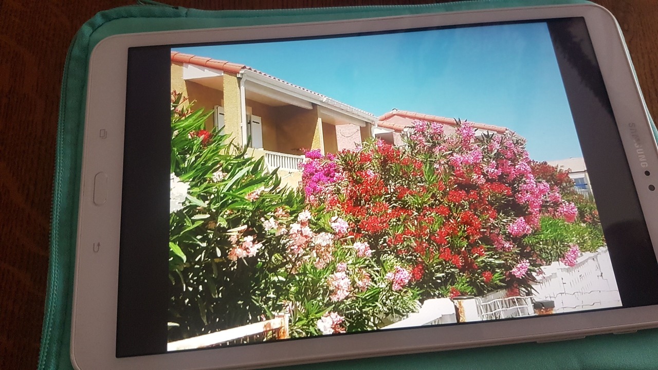 Photo of Outdoor in Le Barcares