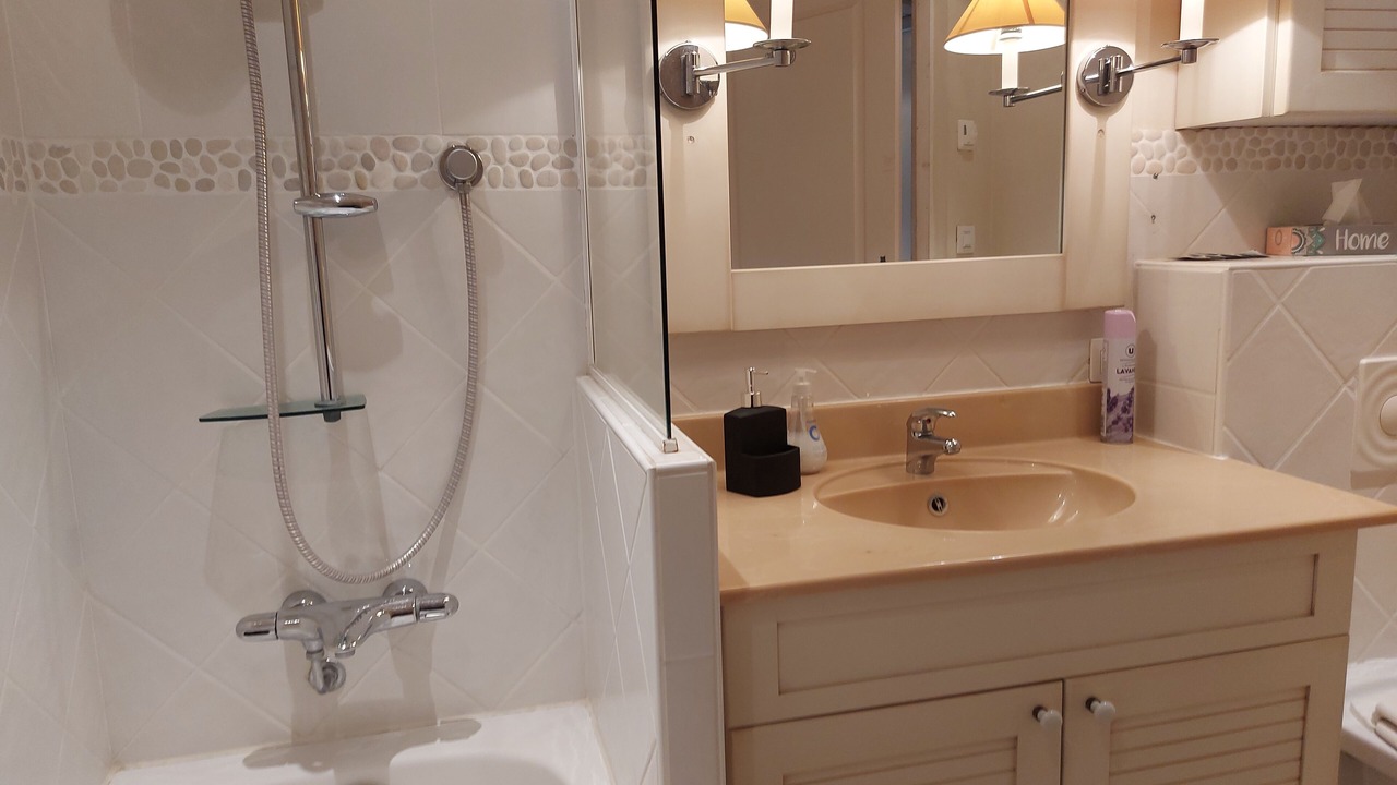 Photo of Bathroom in Duingt
