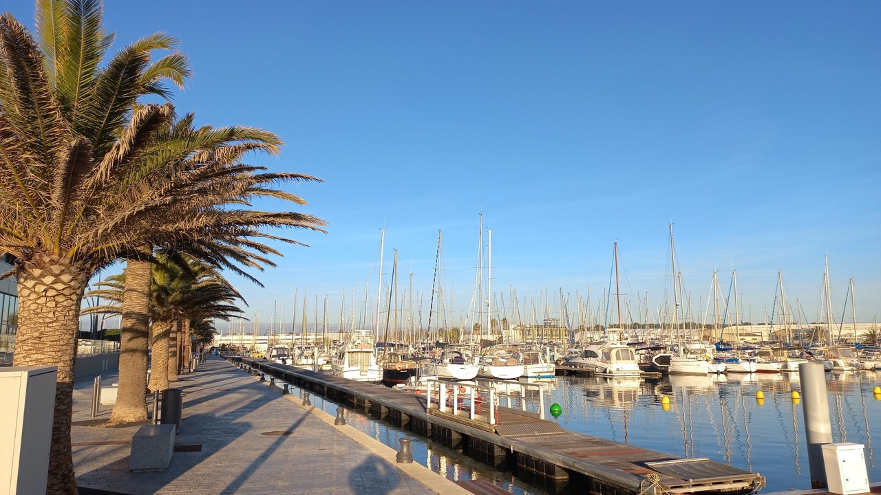 Photo of Others in Le Port