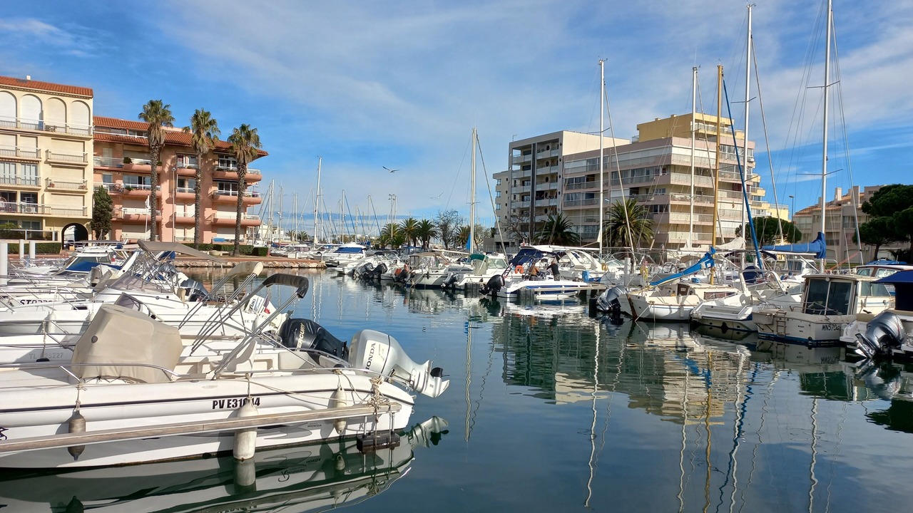 Photo of Others in Le Port