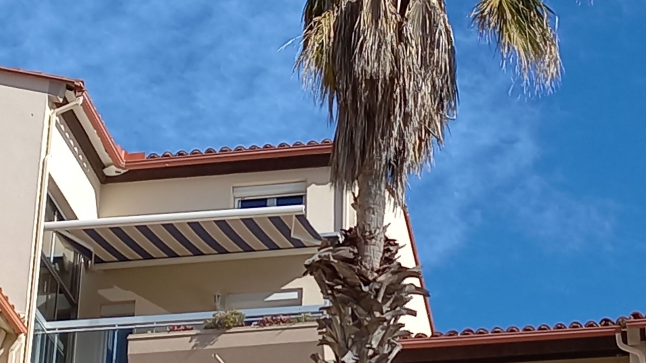 Photo of Outdoor in Le Port