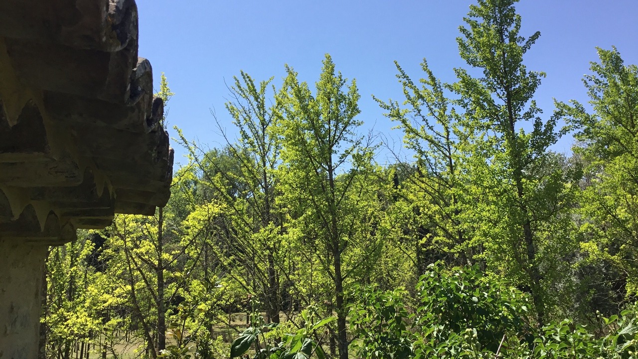 Photo of Outdoor in Carsan