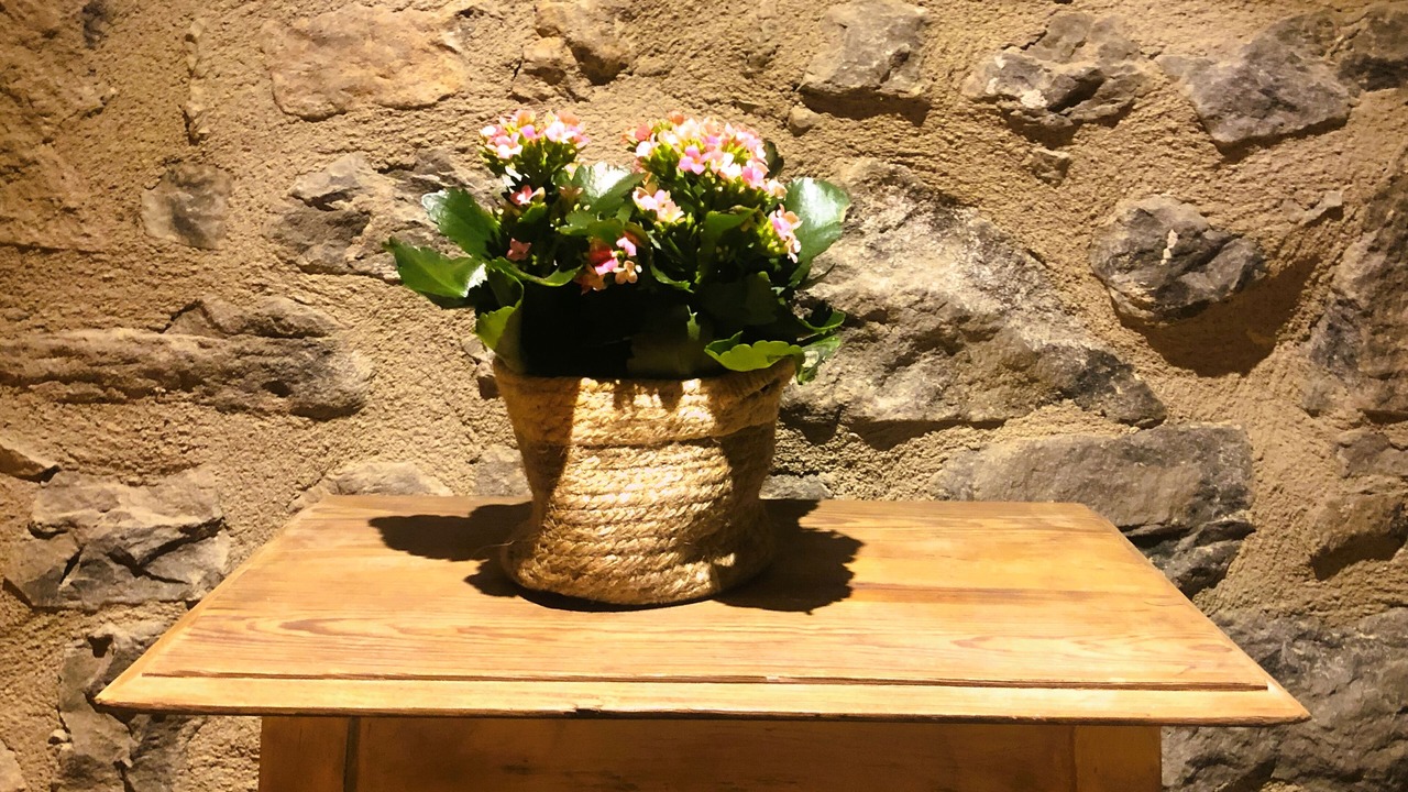 Photo of Others in Coll de Nargo