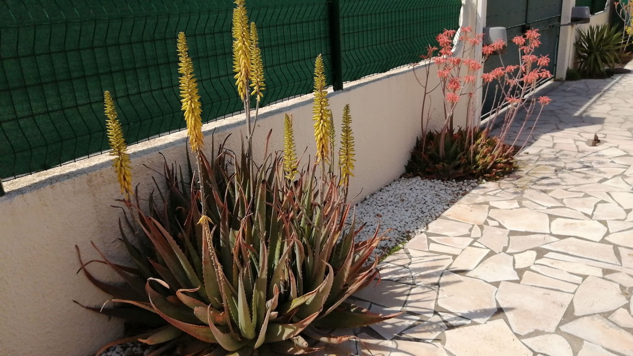 Photo of Outdoor in Saint-Hippolyte