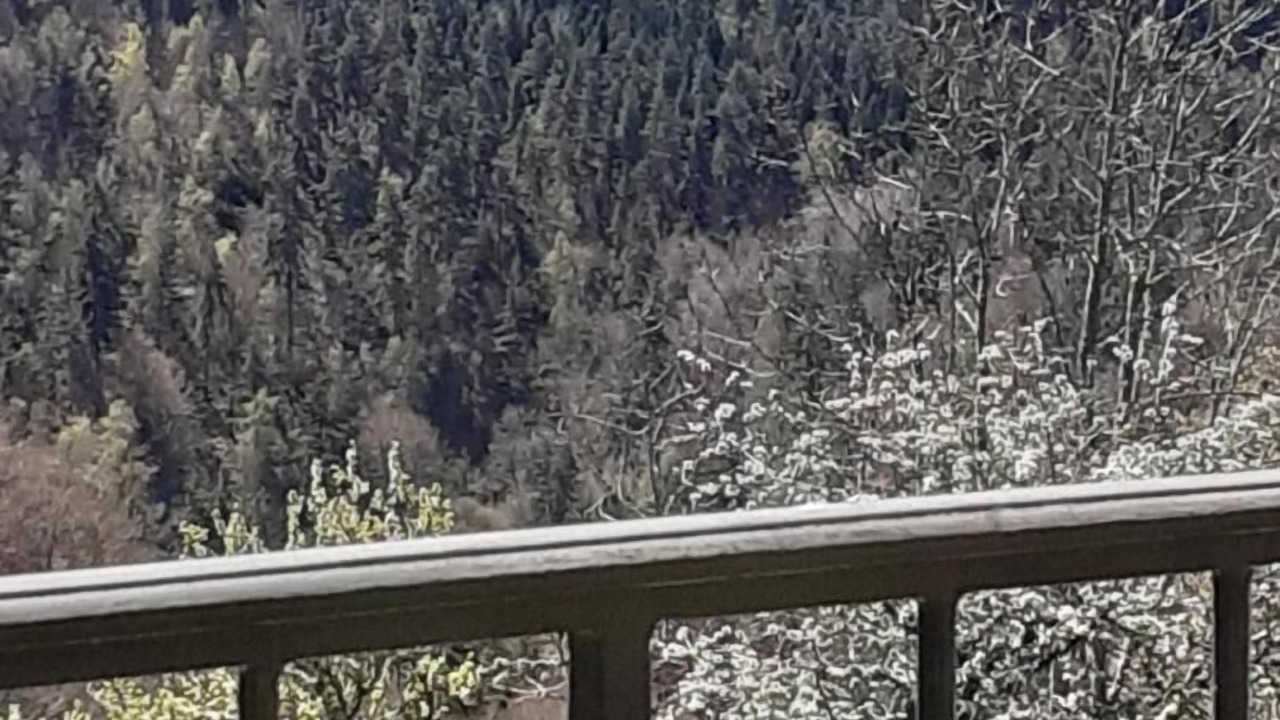 Photo of Outdoor in Arzenc-d'Apcher