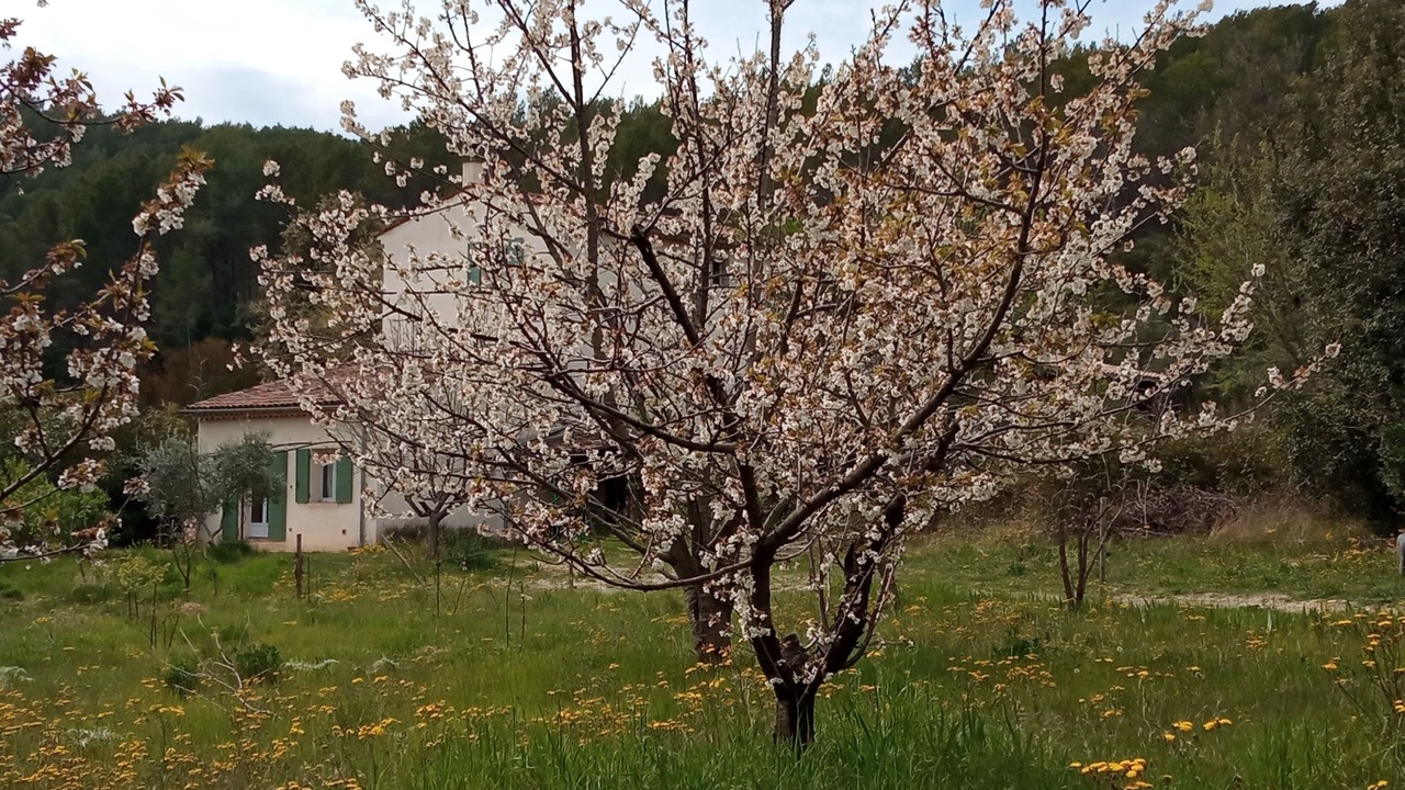 Photo of Outdoor in Draguignan