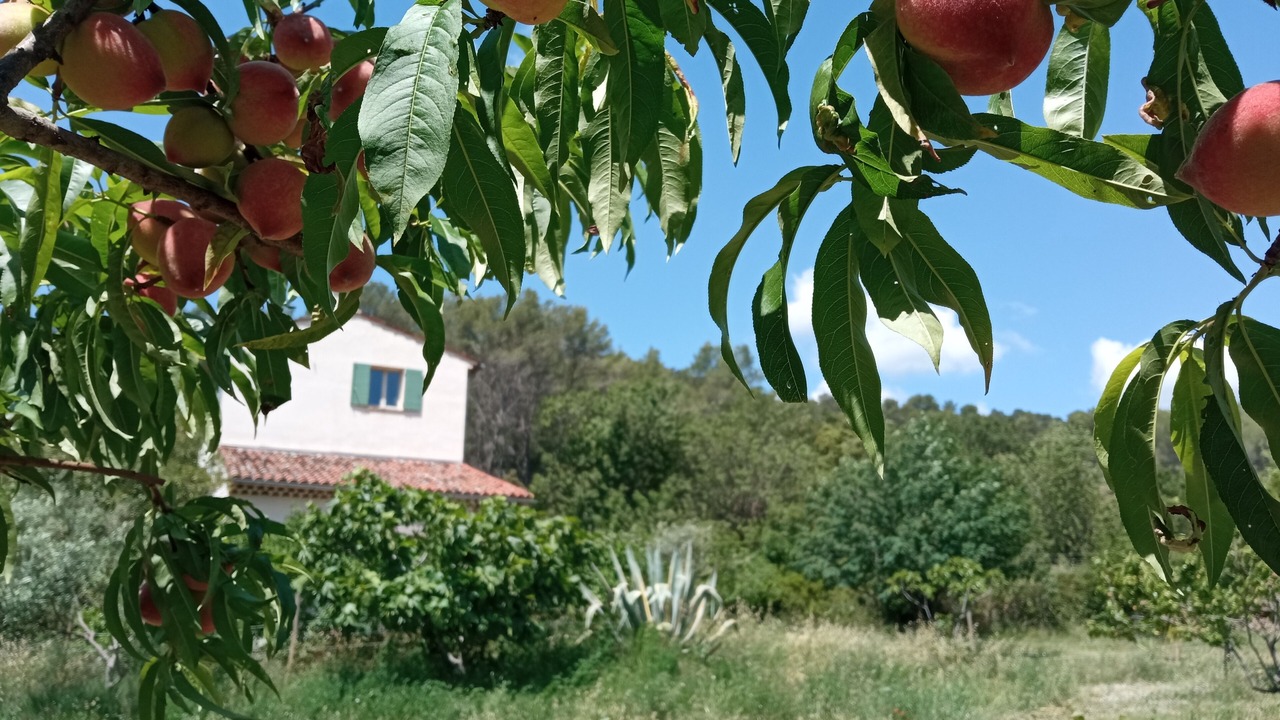 Photo of Outdoor in Draguignan