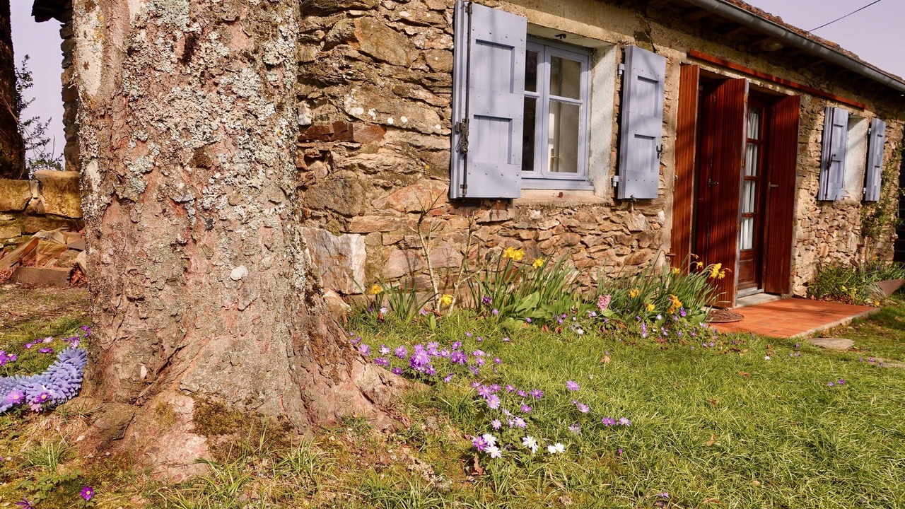 Photo of Outdoor in Crespin