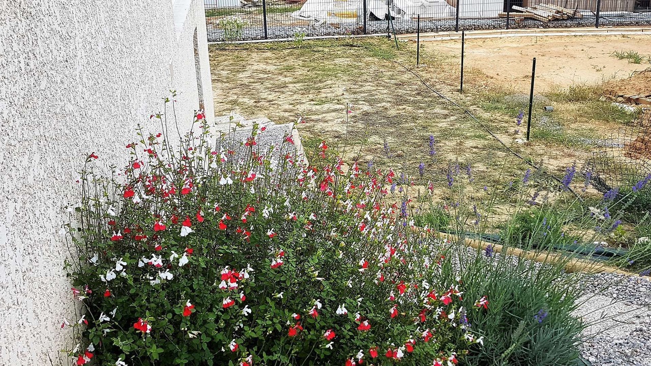 Photo of Outdoor in Banyuls-dels-Aspres