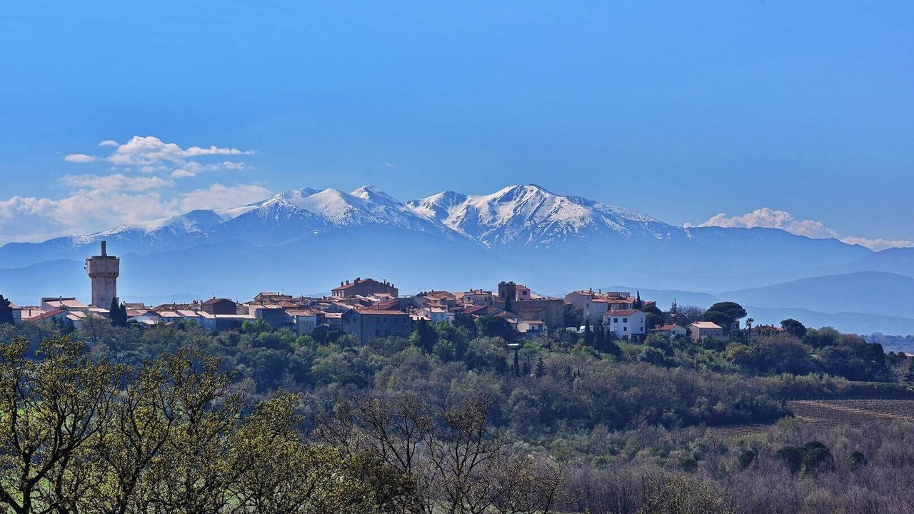 Photo of Others in Banyuls-dels-Aspres