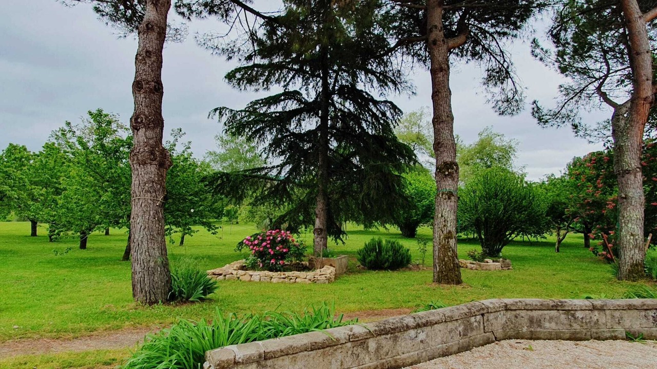 Photo of Outdoor in Saint-Denis-les-Martel