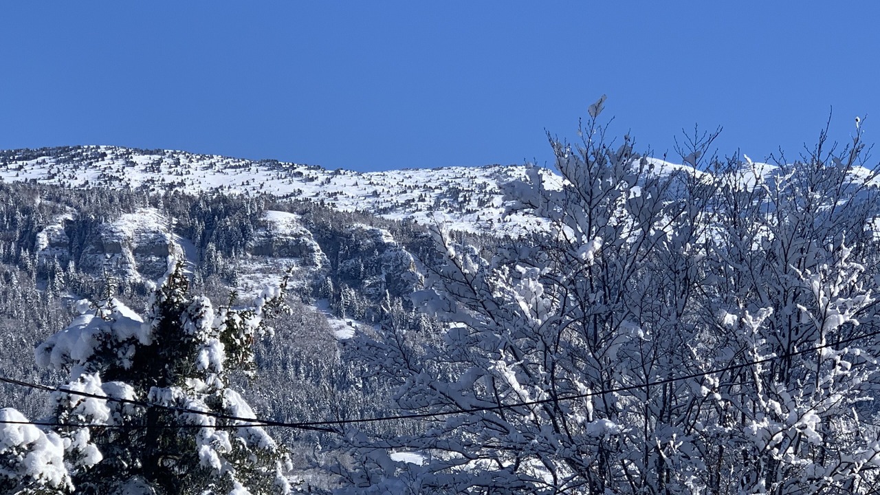 Photo of Others in Lans-en-Vercors