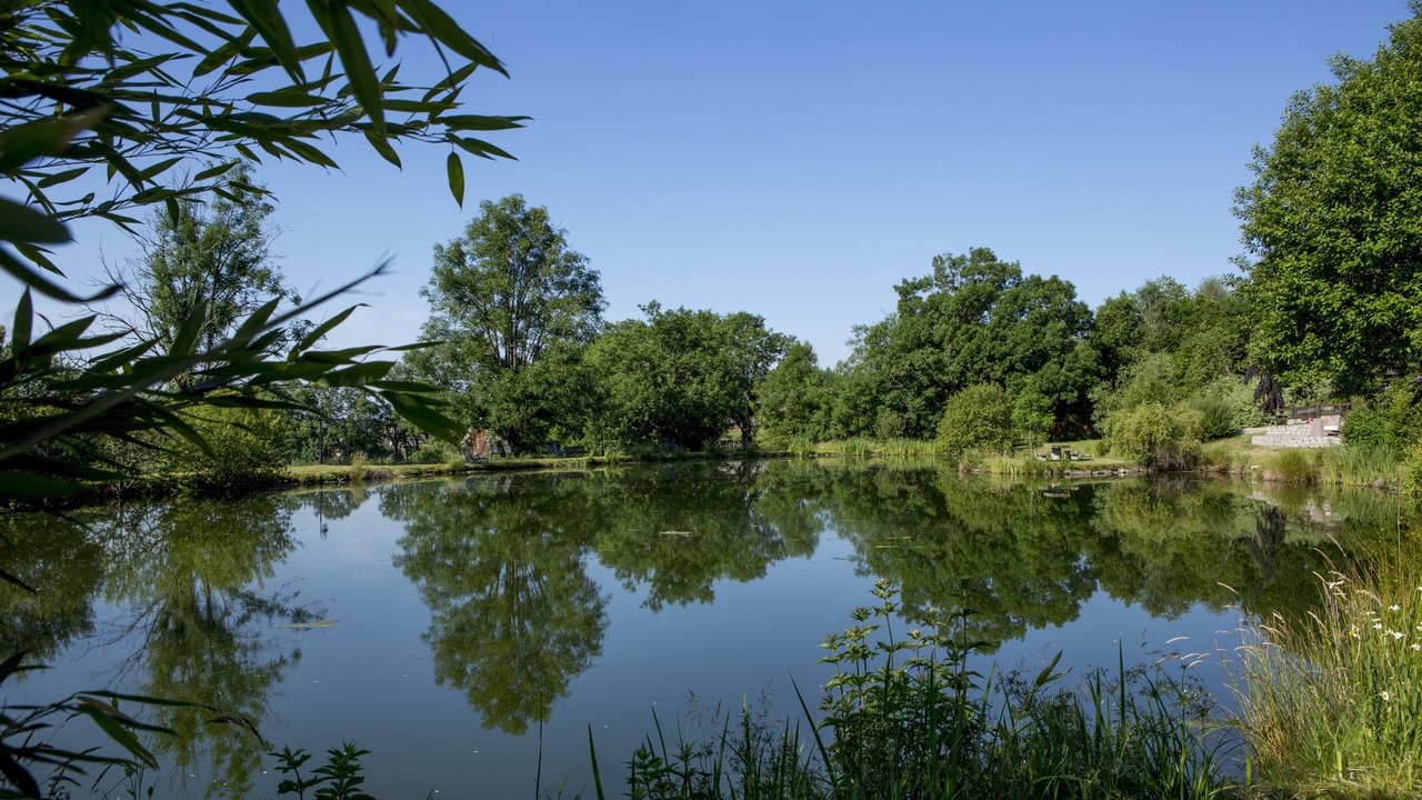 Photo of Outdoor in Pailherols