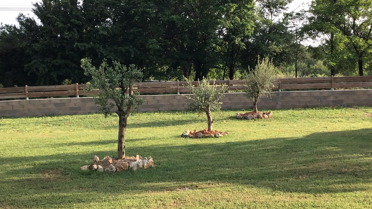 Photo of Outdoor in Gramat