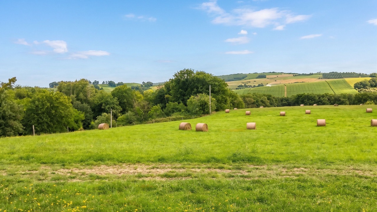 Photo of Outdoor in Puygaillard-de-Quercy