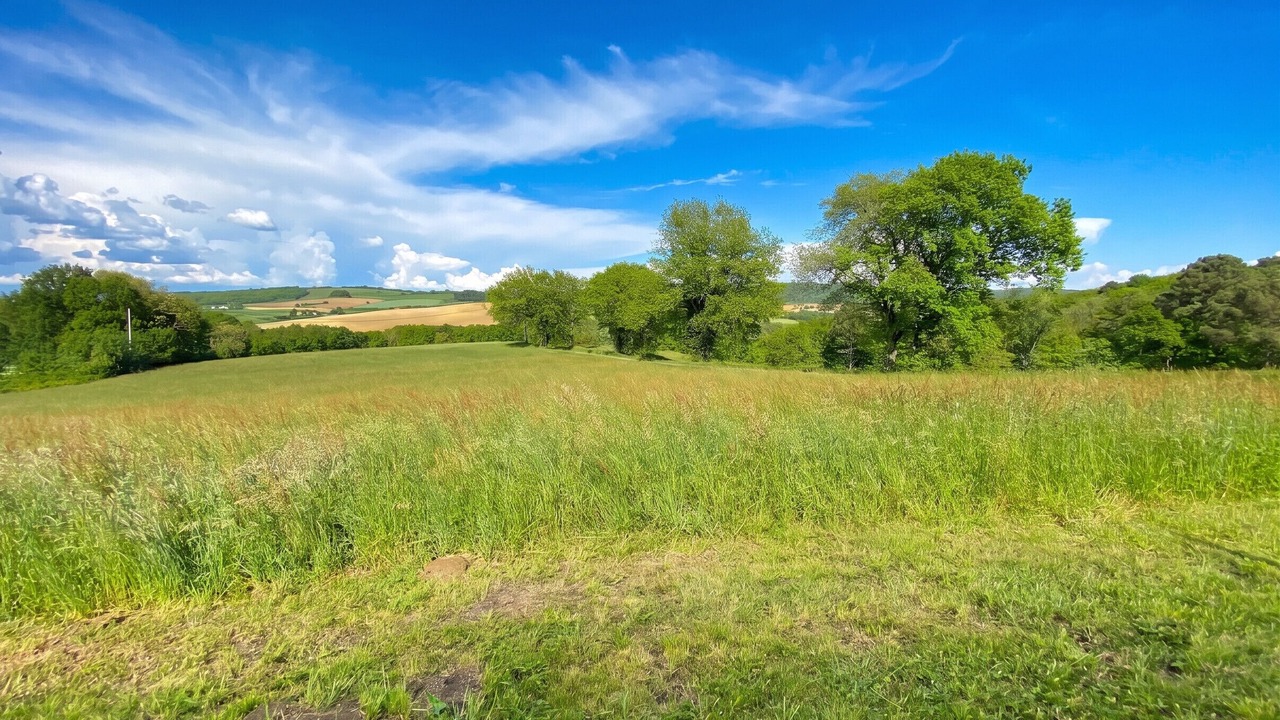 Photo of Others in Puygaillard-de-Quercy