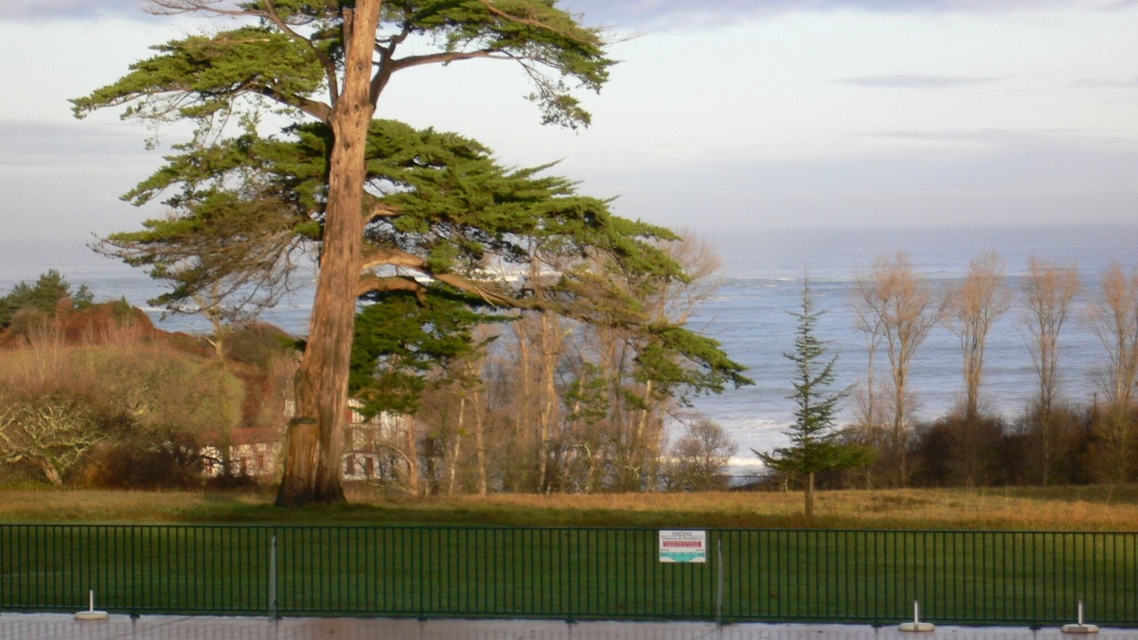 Photo of Outdoor in Behobie