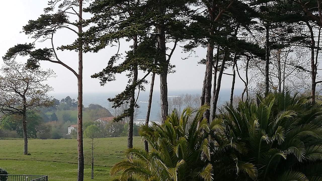 Photo of Outdoor in Behobie