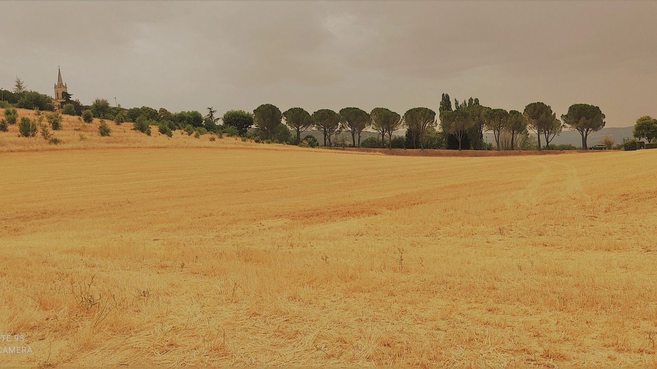 Photo of Others in Rustrel