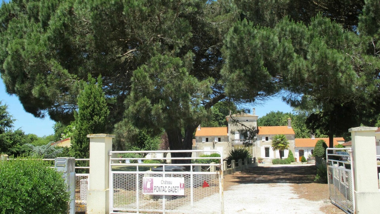 Photo of Others in Jau-Dignac-et-Loirac