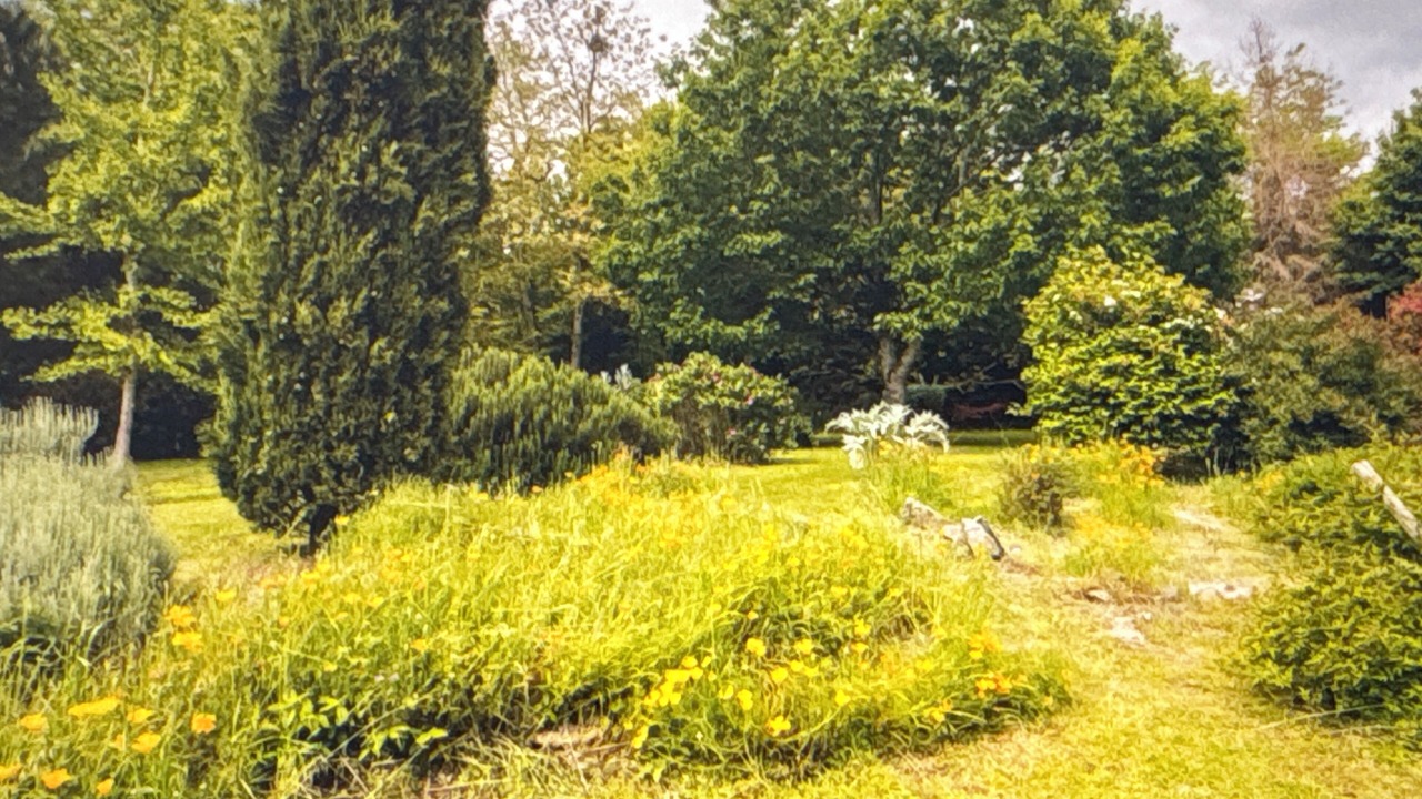Photo of Outdoor in Saint-Denis